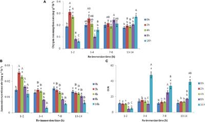 Respiratory Metabolism and Antioxidant Response in Chinese Mitten Crab Eriocheir sinensis During Air Exposure and Subsequent Reimmersion